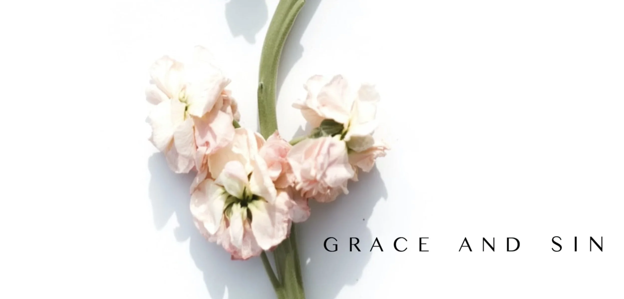 Grace and Sin | 07.26.2020