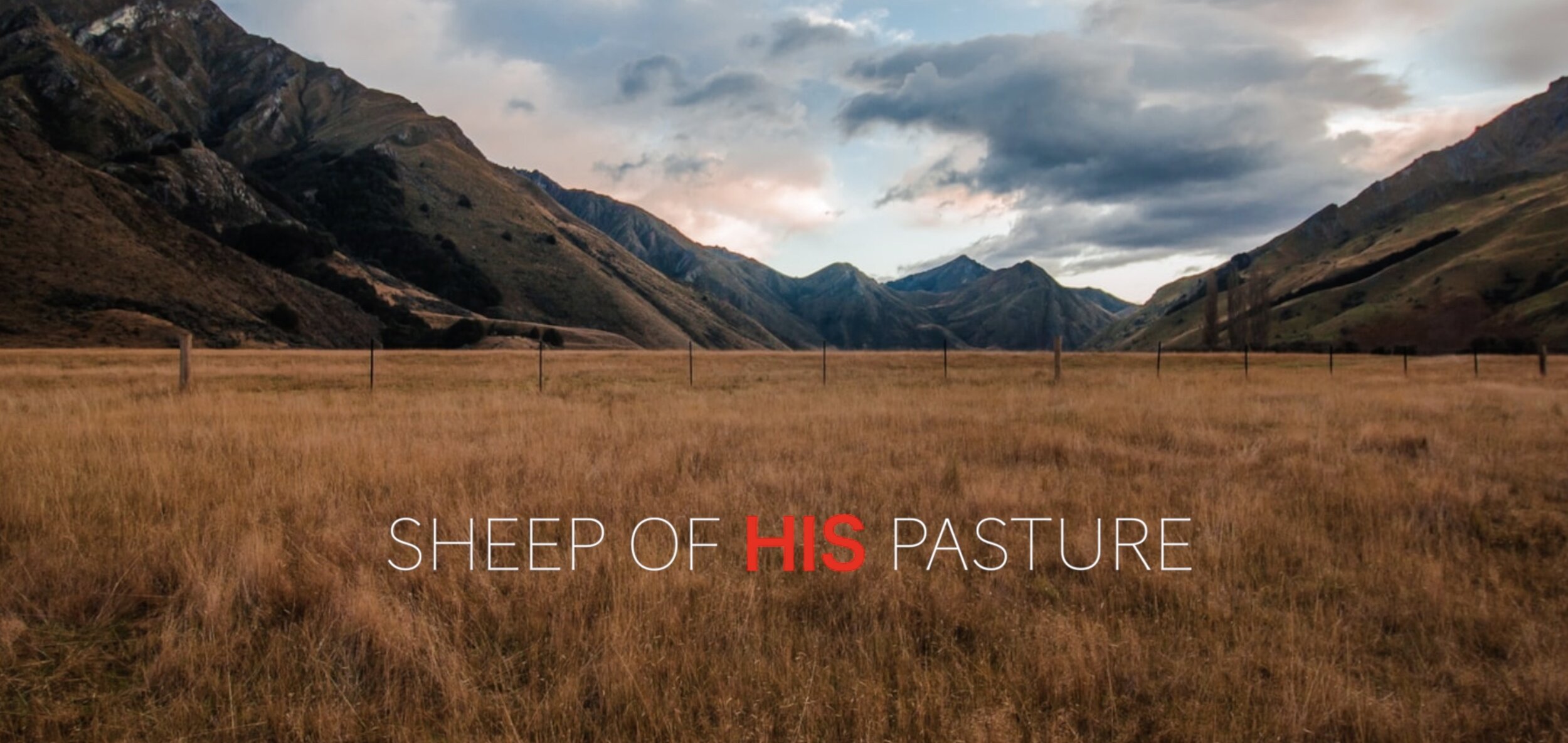 11.06.2020 | Sheep of His Pasture