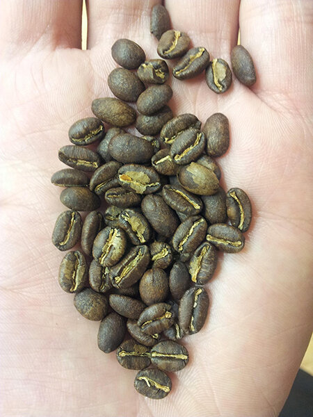 Coffea Eugenoides