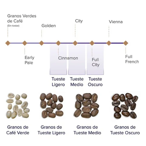 Granos de café por etapa