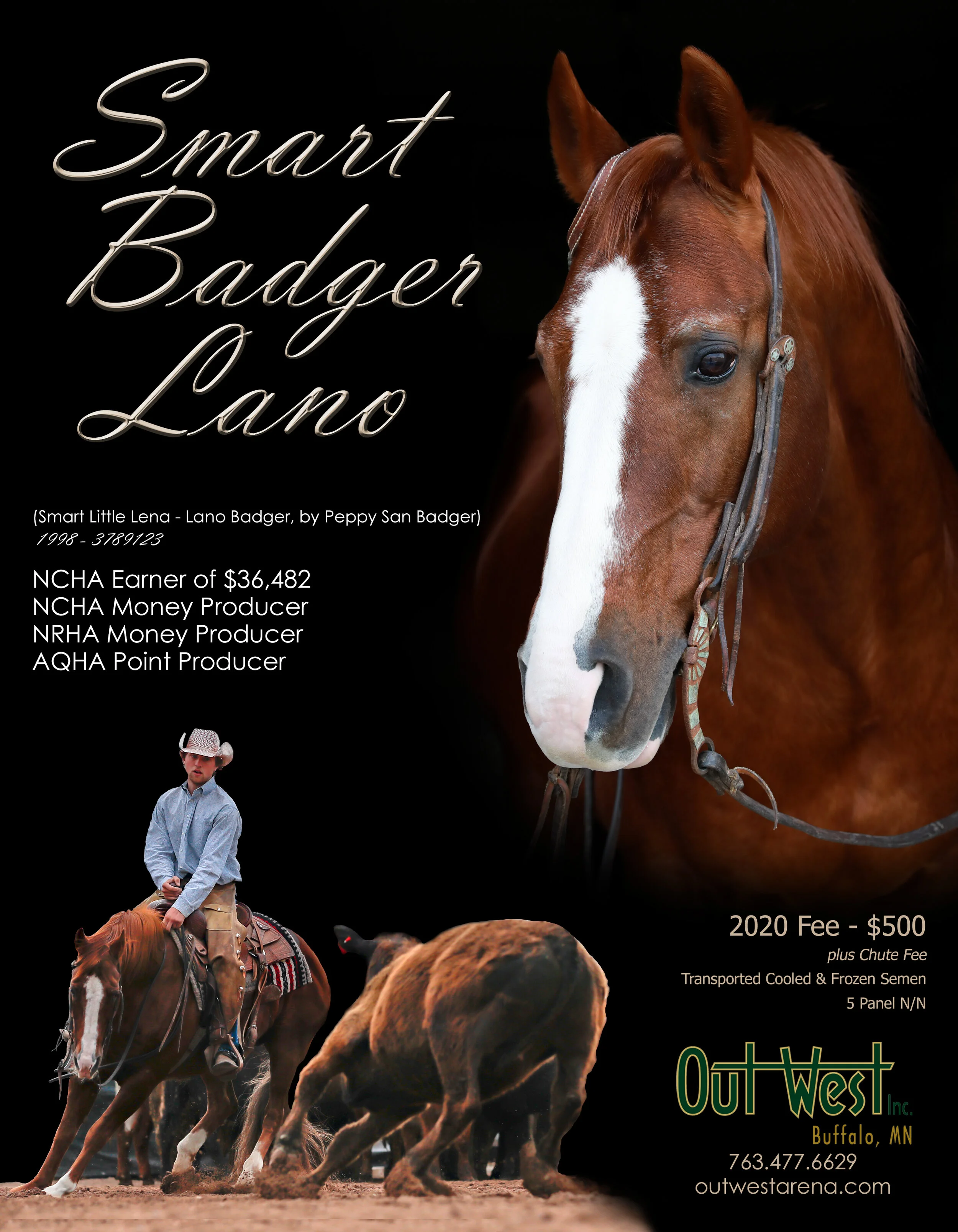 Badman - Smart Badger Lano