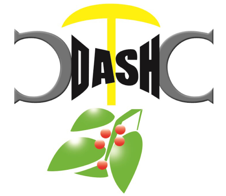 DASH Coffee &amp; Spices