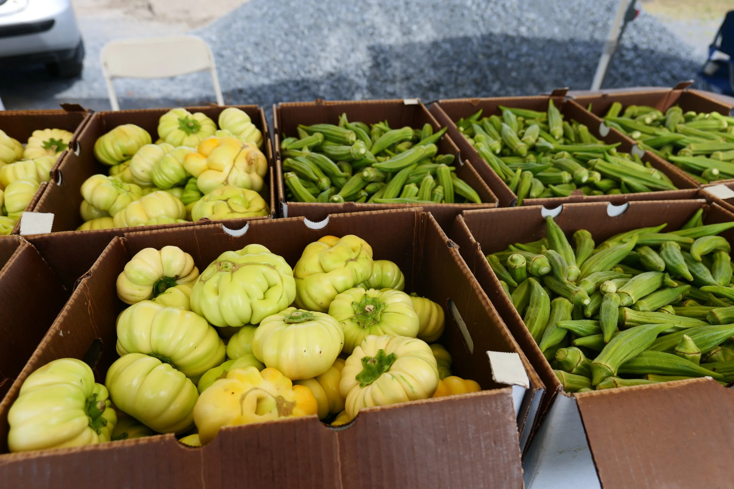 Earth Day: A Call To Communal Action for Food Sovereignty