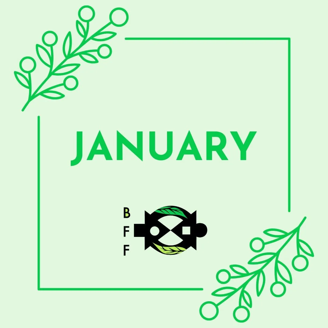 January 2026 Newsletter