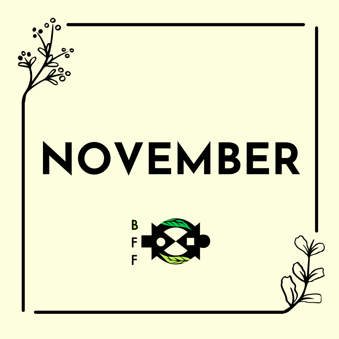 November 2021 Newsletter