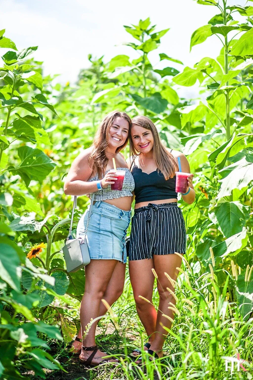 Festivals KC WINE CO KC Wine Co Kansas City Winery & Vineyard