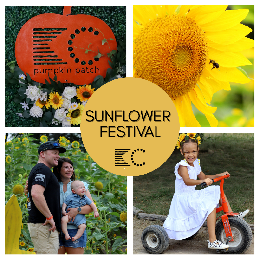 TICKETED // Sunflower Festival {Family Friendly}