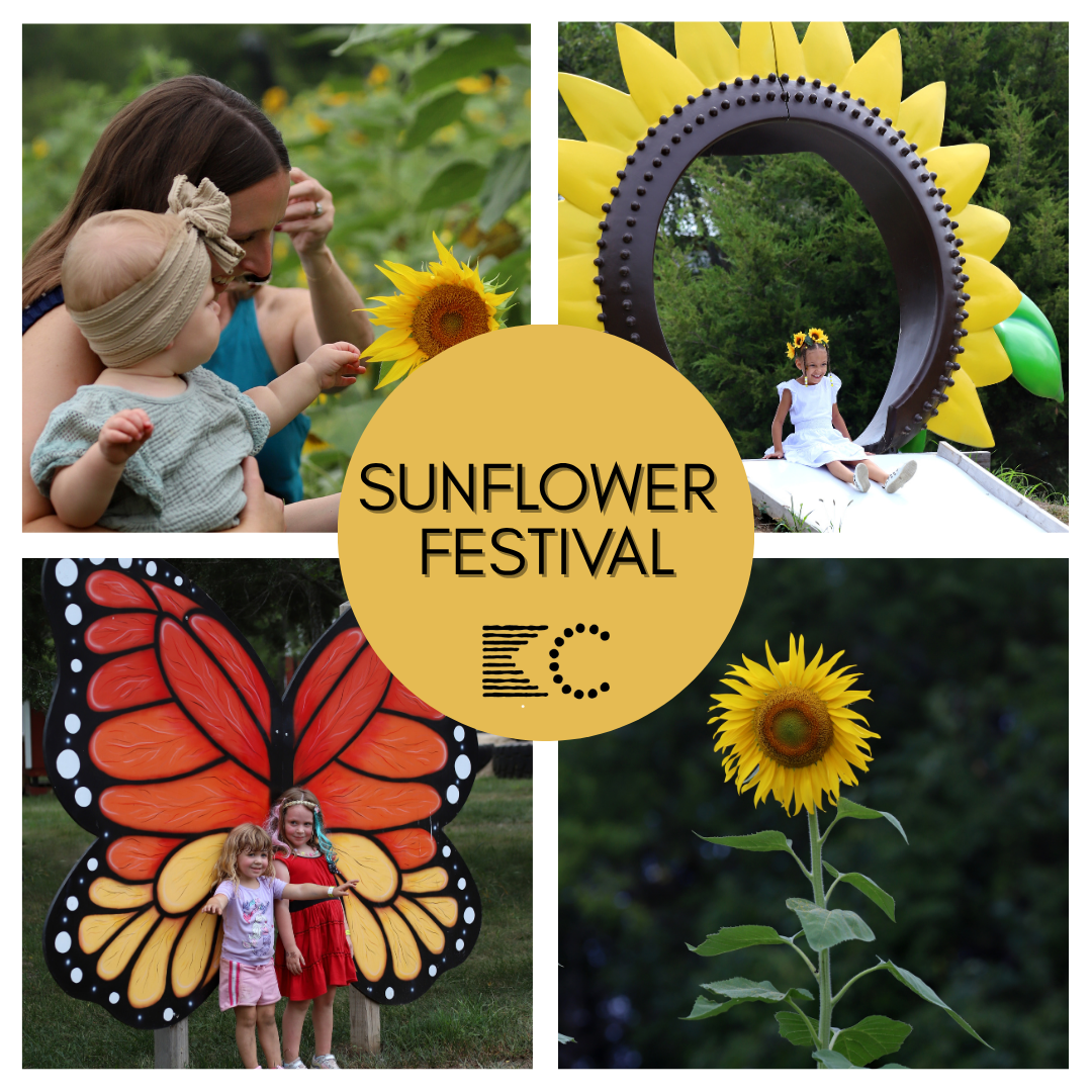 TICKETED // Sunflower Festival {Family Friendly}