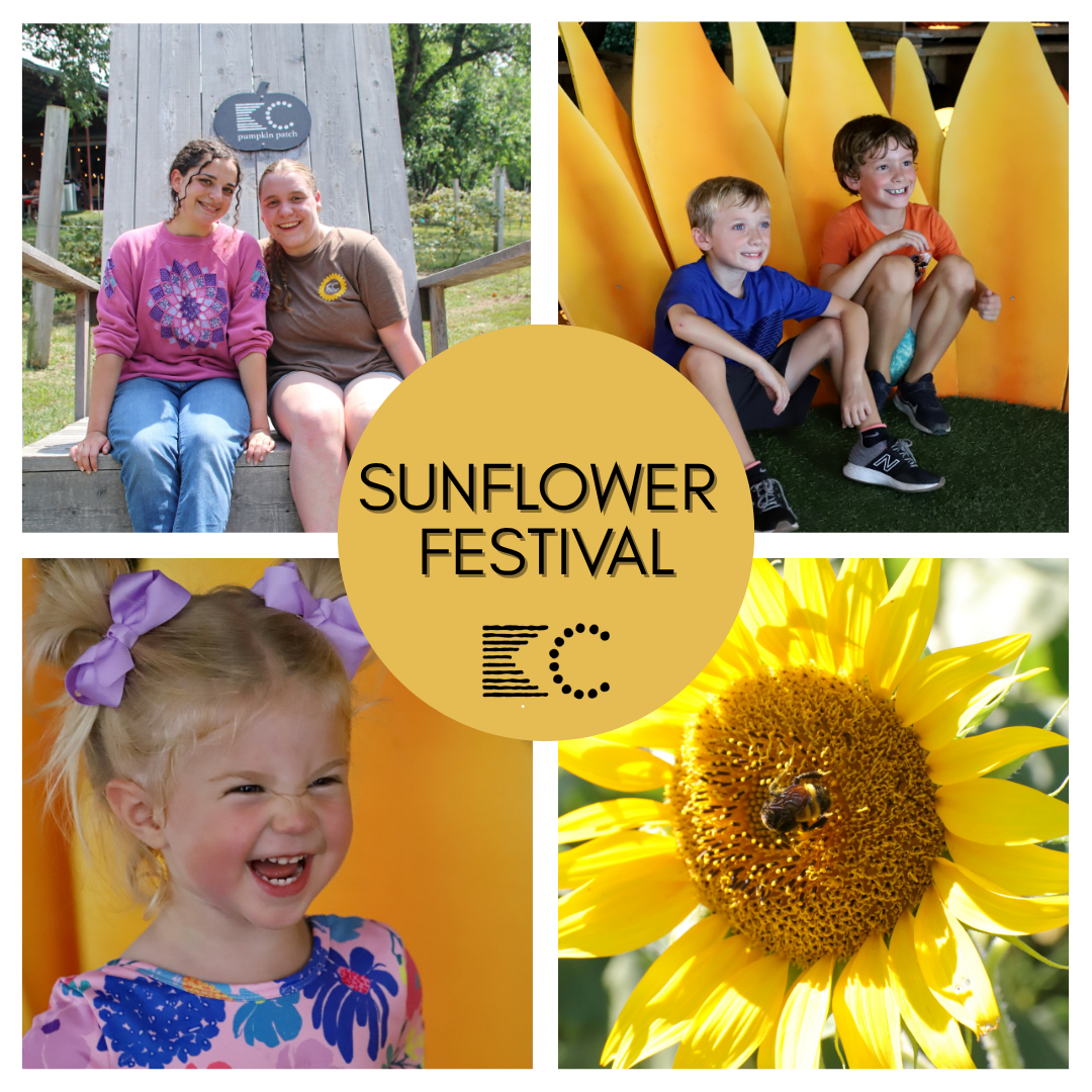 TICKETED // Sunflower Festival {Family Friendly}
