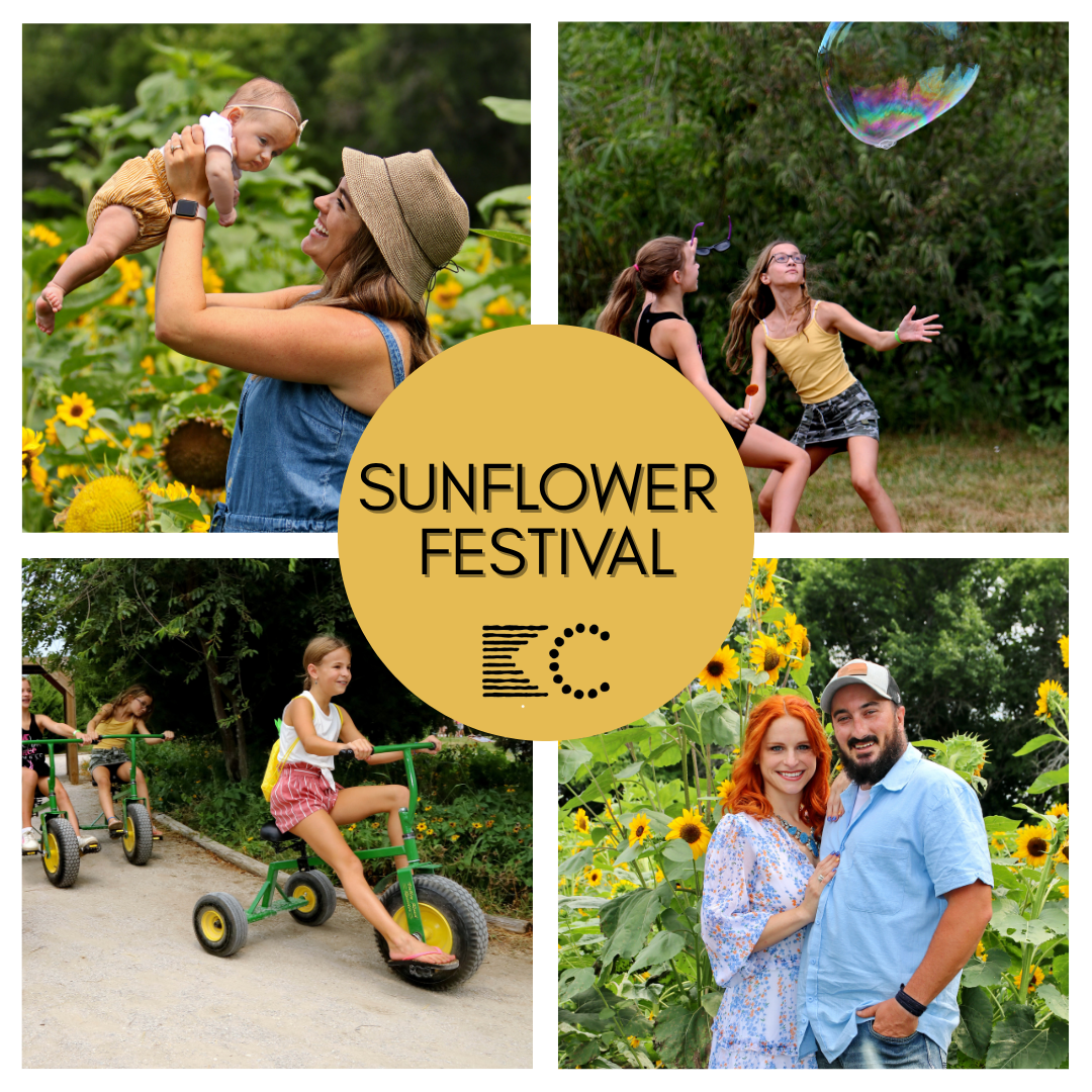 TICKETED // Sunflower Festival {Family Friendly}