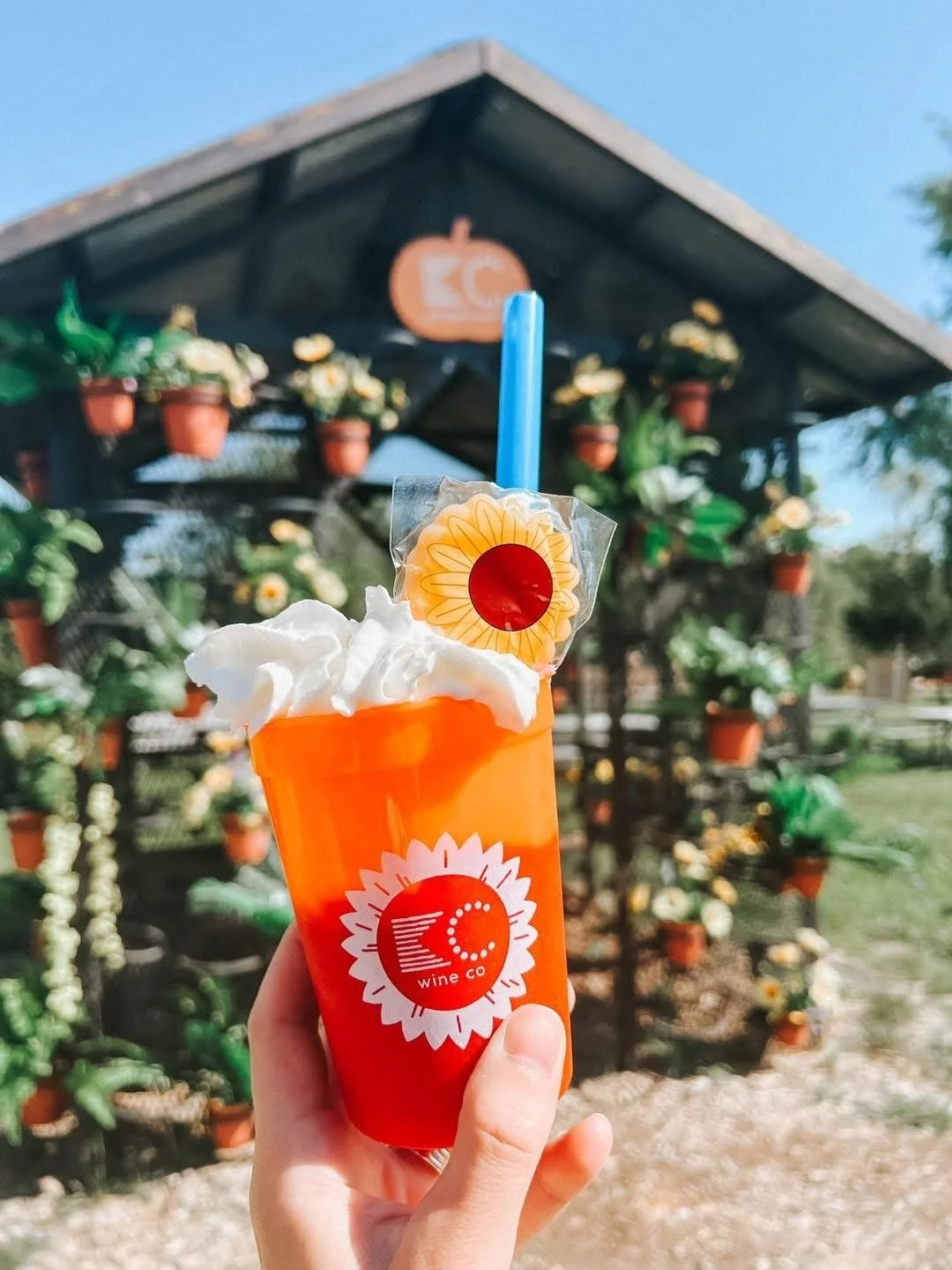 Sunflower Wine Slush