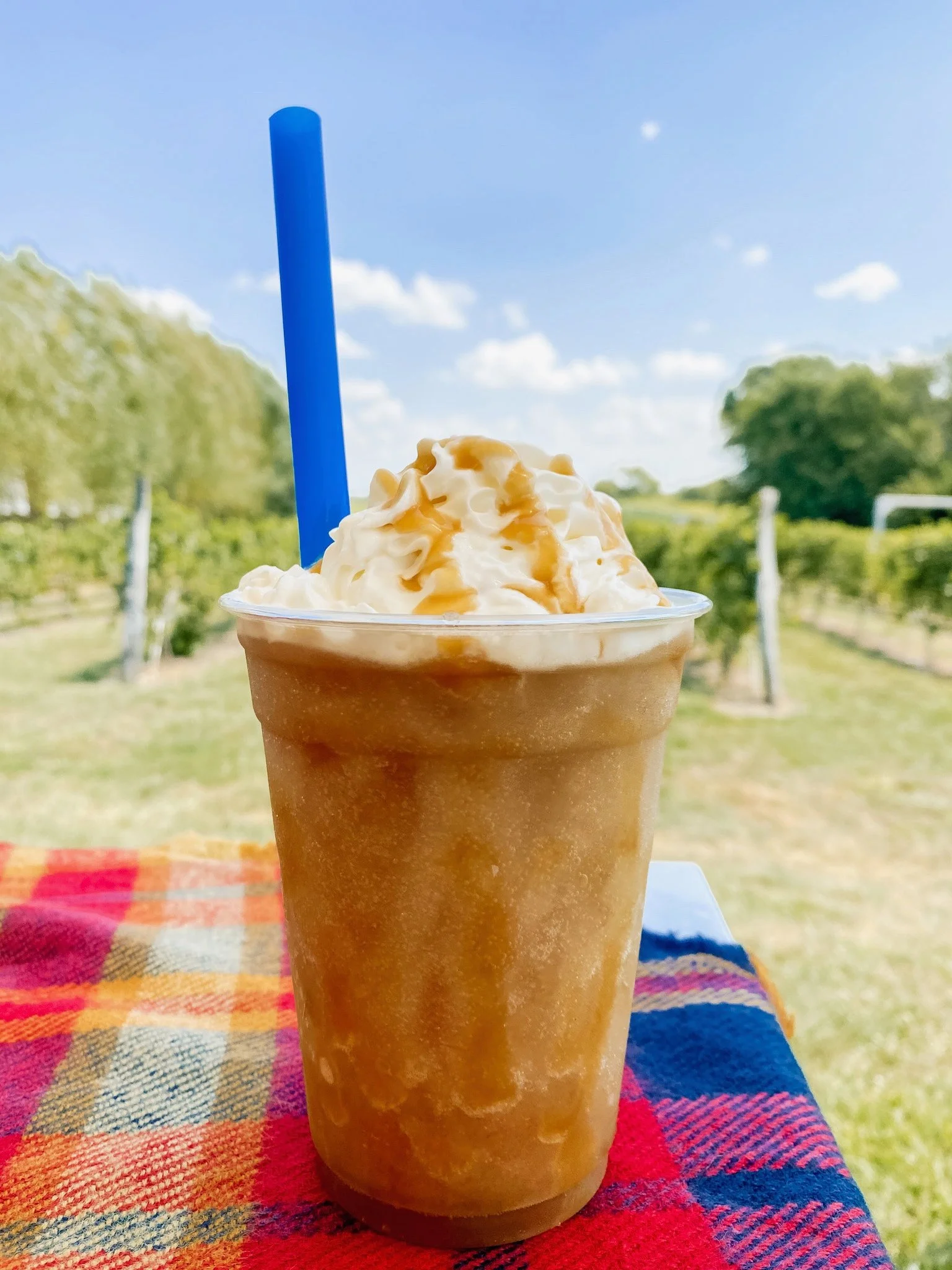 Apple Cider Wine Slush
