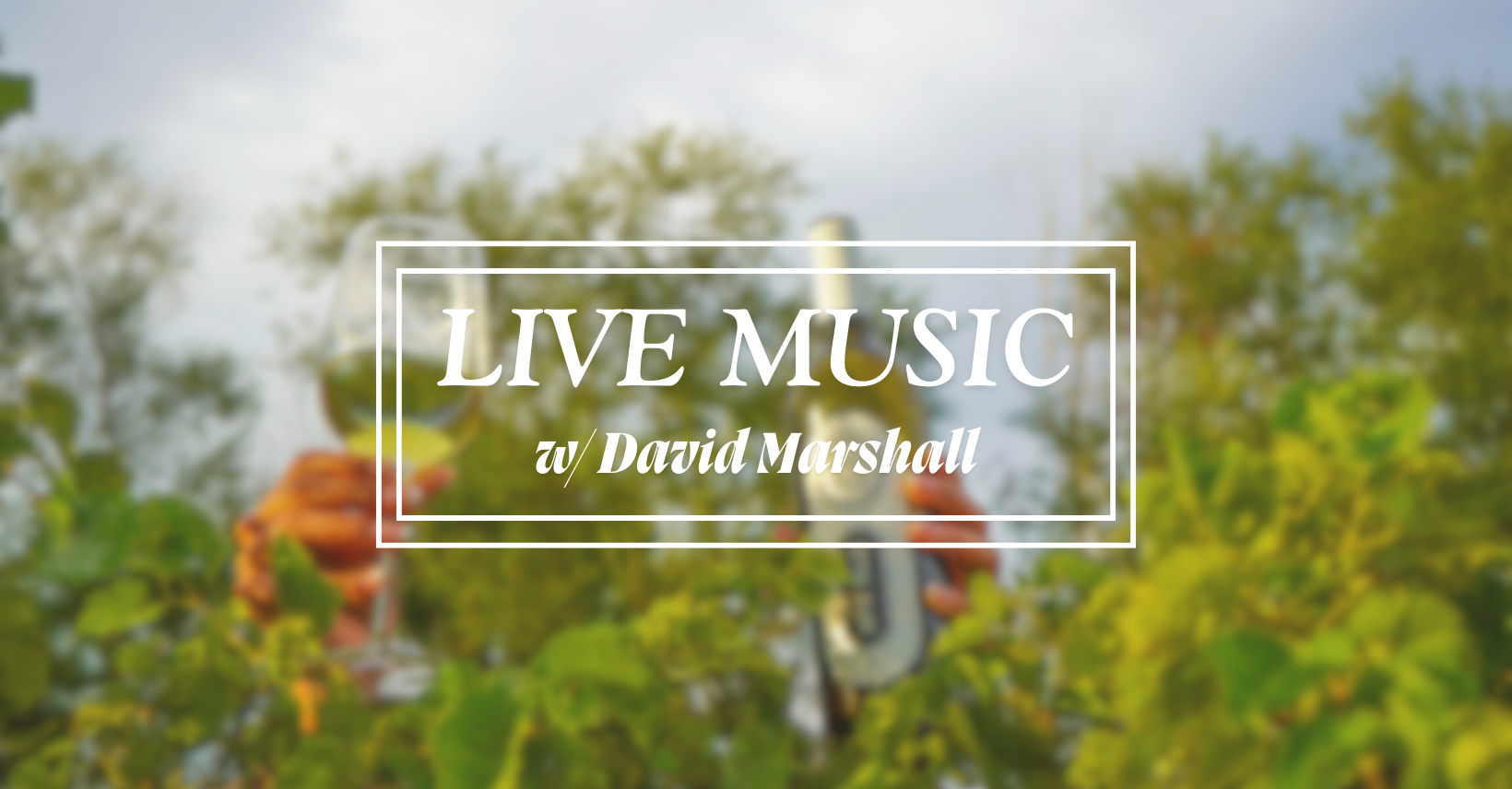 Live Music w/ David Marshall