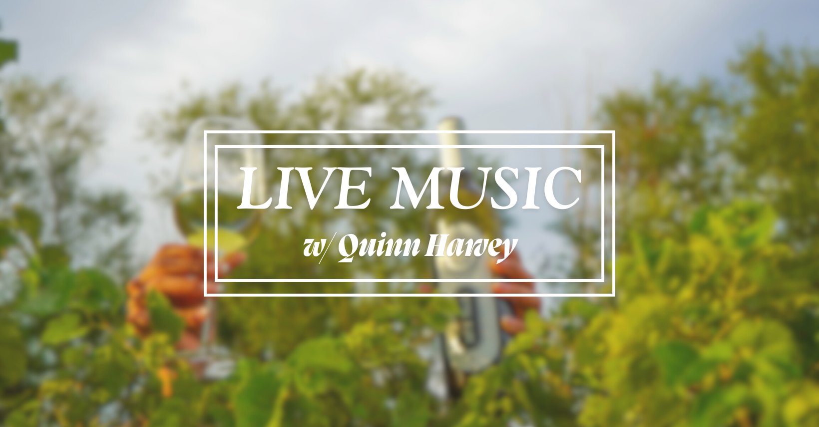 LIVE MUSIC W/ QUINN HARVEY