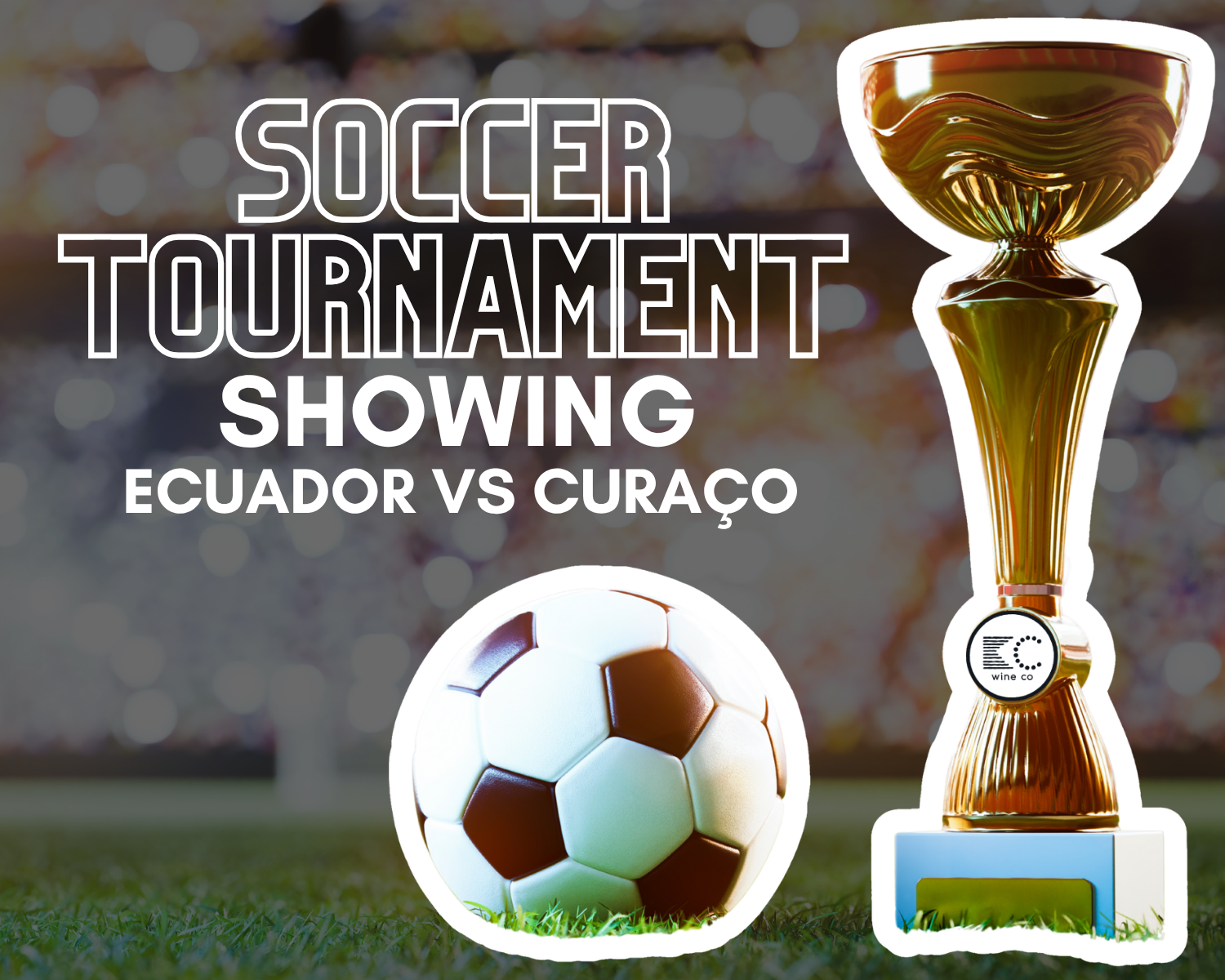 Soccer Tournament Showing: Ecuador vs Curaço