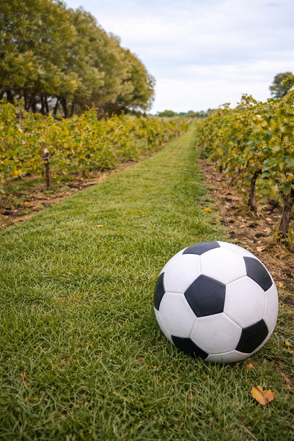 Best Places to go Before the Soccer Game in Kansas City