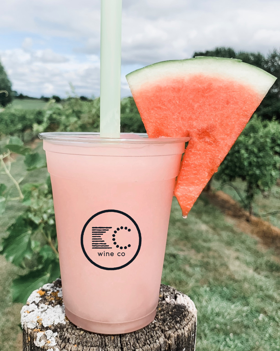Watermelon Frozé Wine Slush