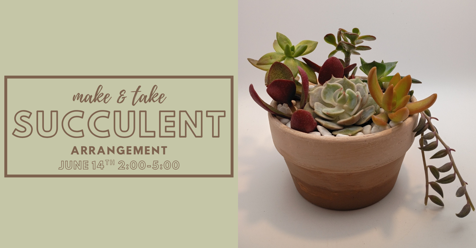 Succs & Sips: A Succulent Arrangement Make & Take