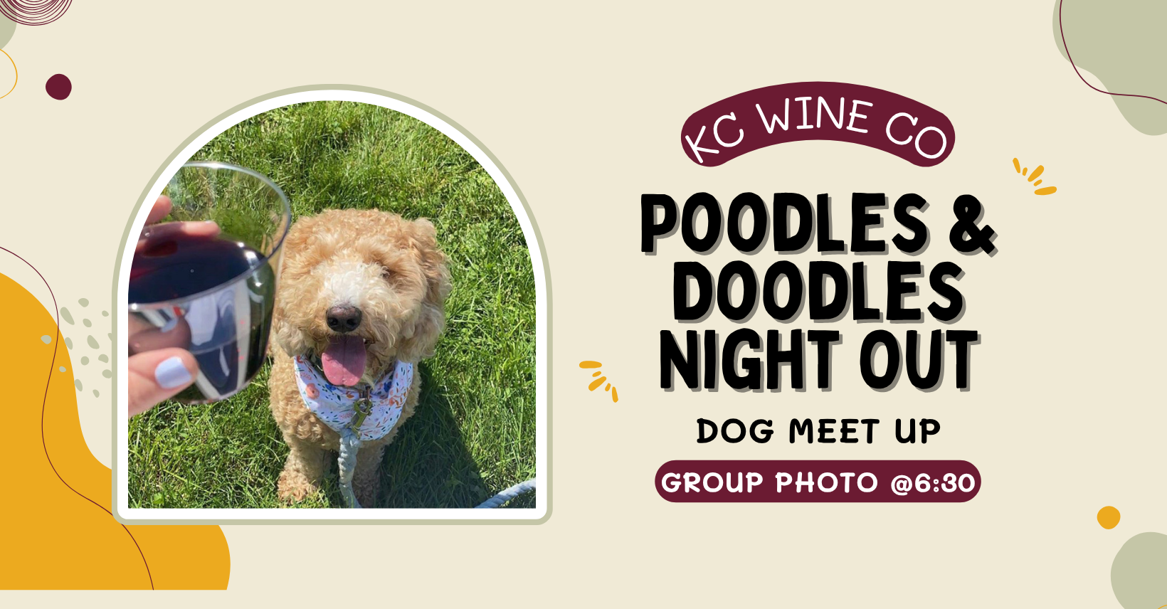 Poodles & Doodles Night Out: A Vineyard Dog Meet Up