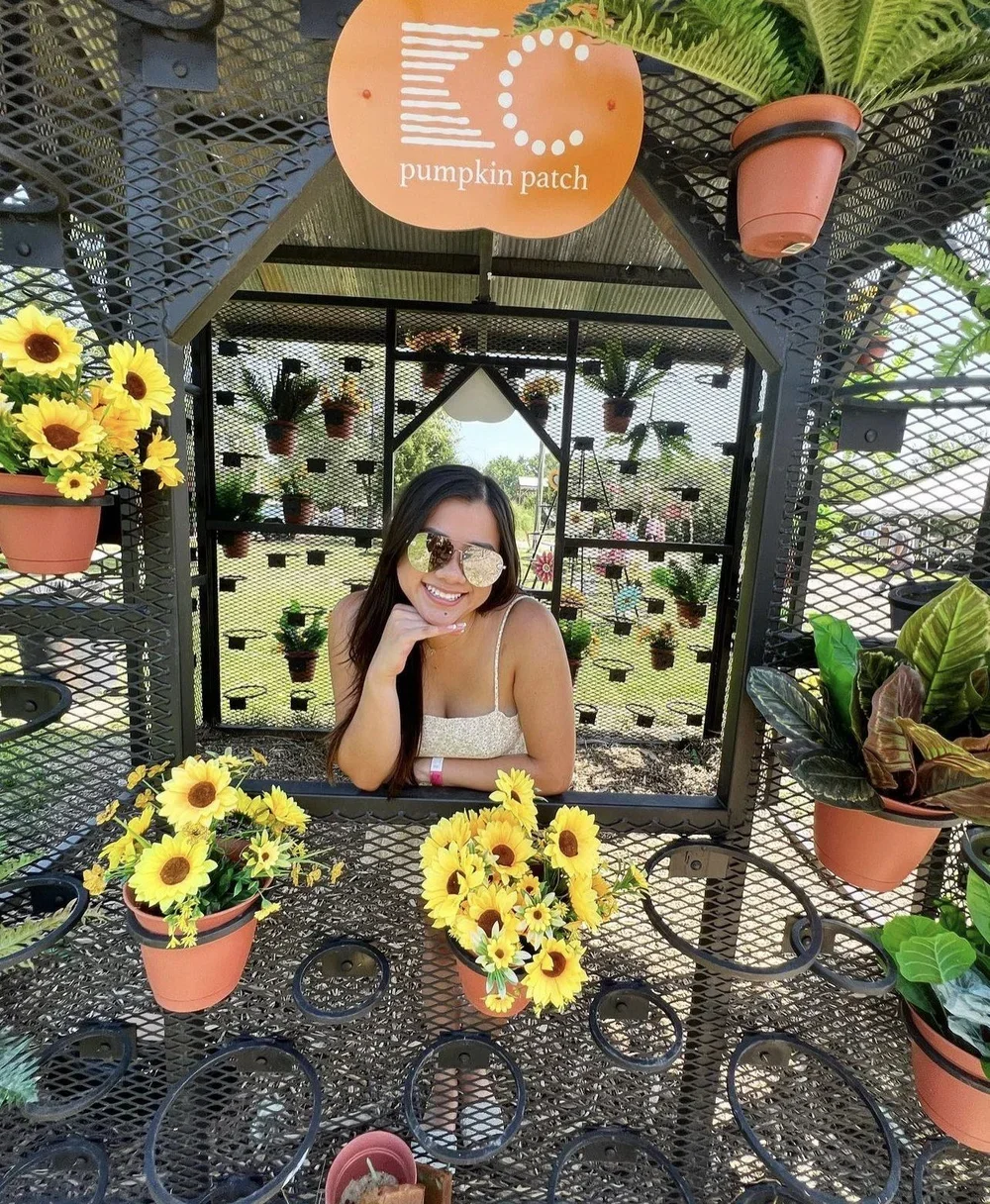 Kansas+Sunflower+field.webp
