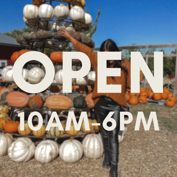 Fall Festival {ticketed, family-friendly}