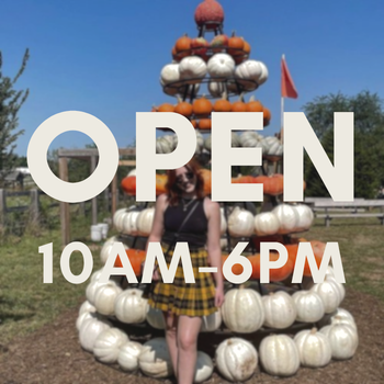 Fall Festival {ticketed, family-friendly}