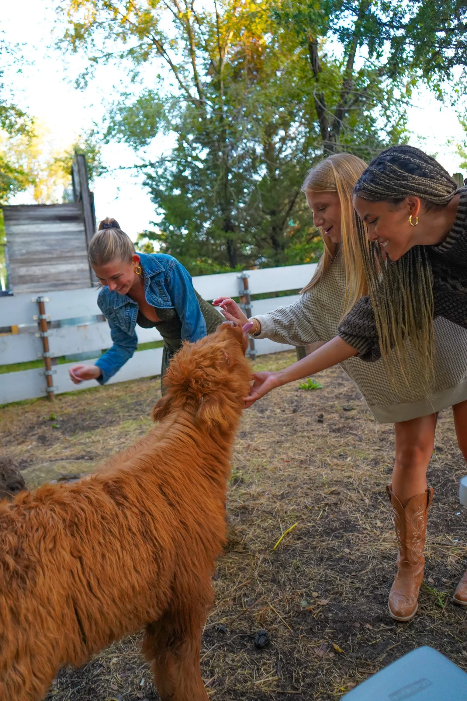 Three women and a girl are interacting and petting a large, fluffy, reddish-brown dog outside in a backyard with trees and a white fence.