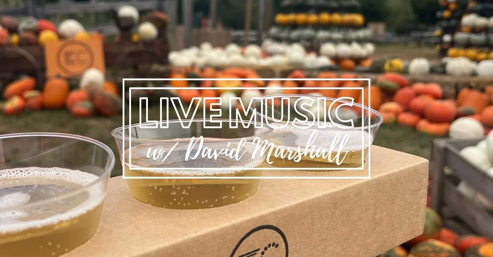Live Music w/ David Marshall