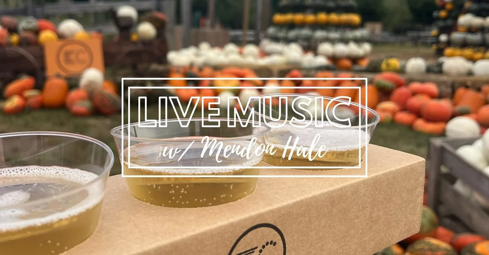 Live Music w/ Mendon Hale