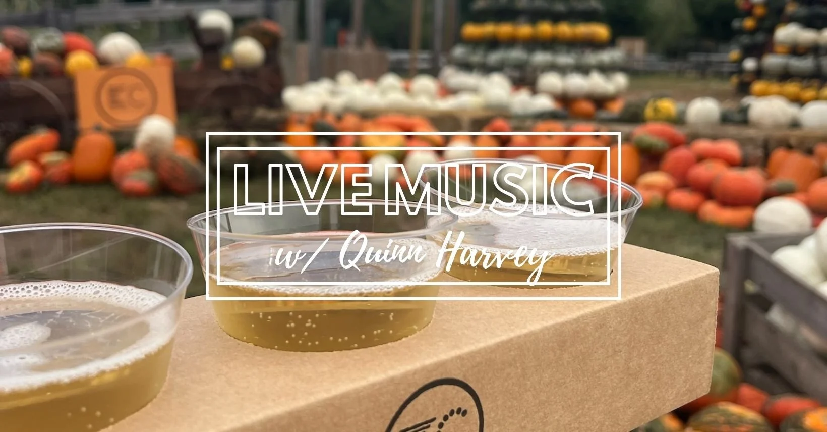 Live Music w/ Quinn Harvey