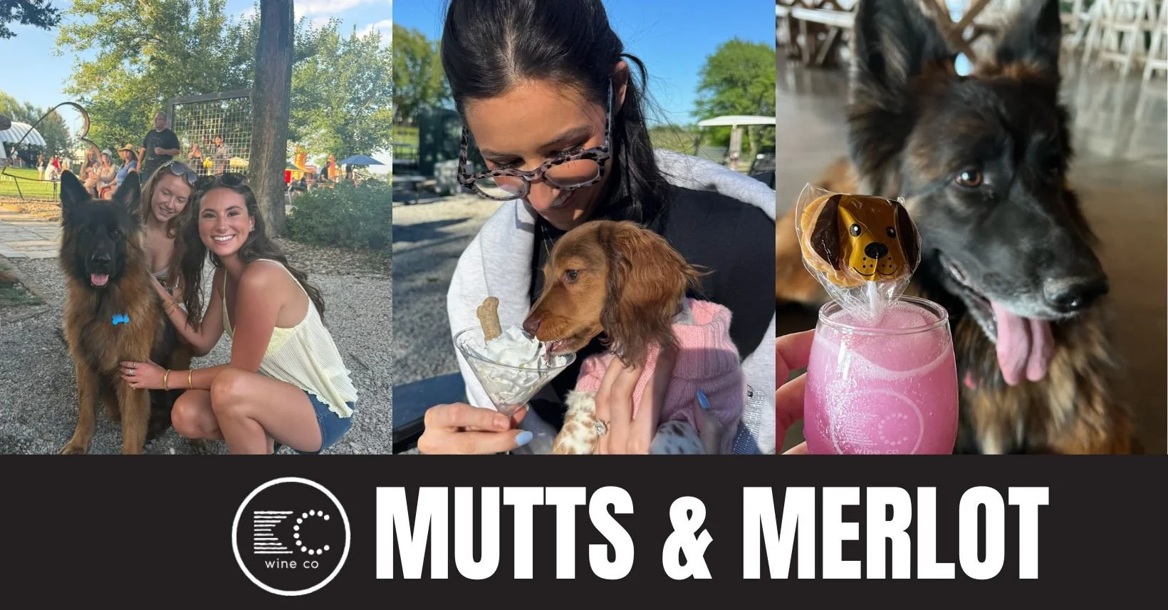 Mutts & Merlot: A Dog Friendly Weekend