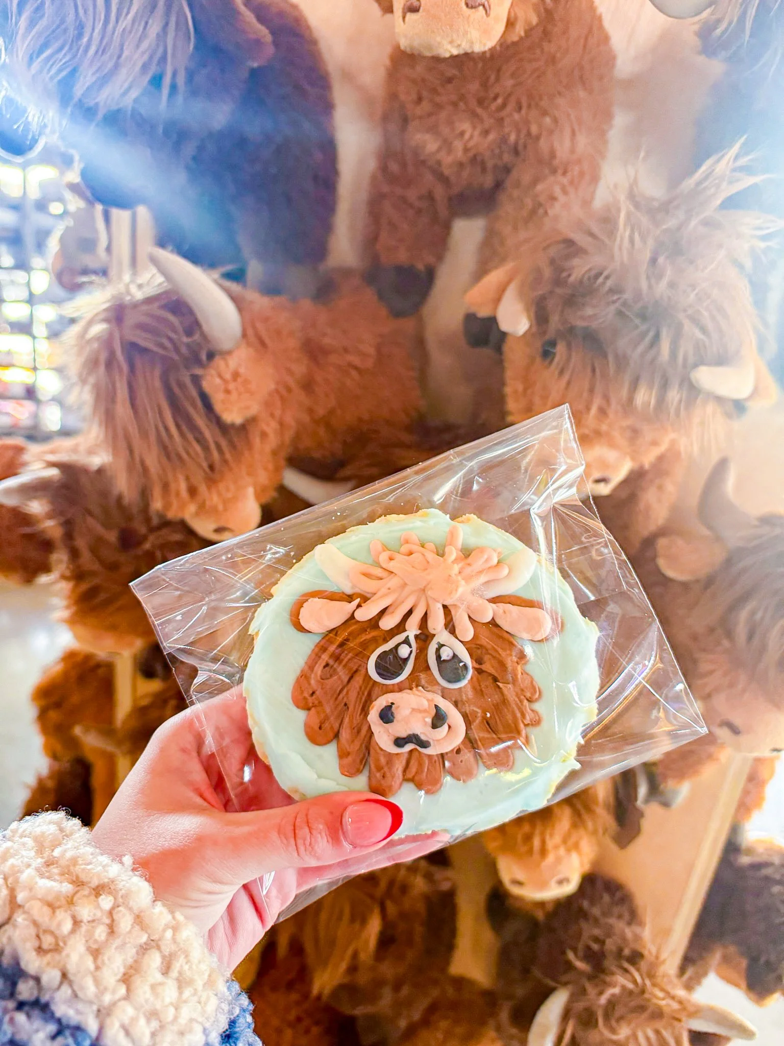 Highland Cow Cookie KS.jpg