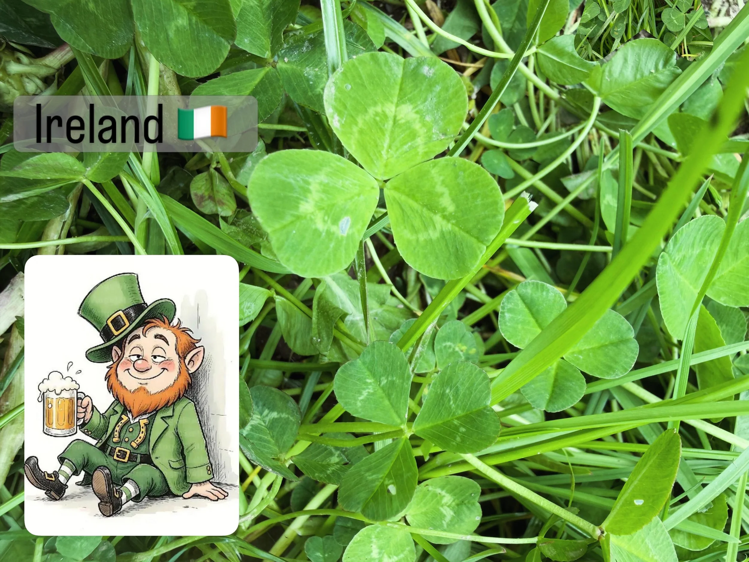 Is it harder to find a four-leaf clover or a leprechaun in Ireland? Because honestly, I&rsquo;ve been on a serious scavenger hunt for both! 

Claire&rsquo;s got her eye out for a tiny gold coin or a mischievous little man with a hat. As for me? I jus
