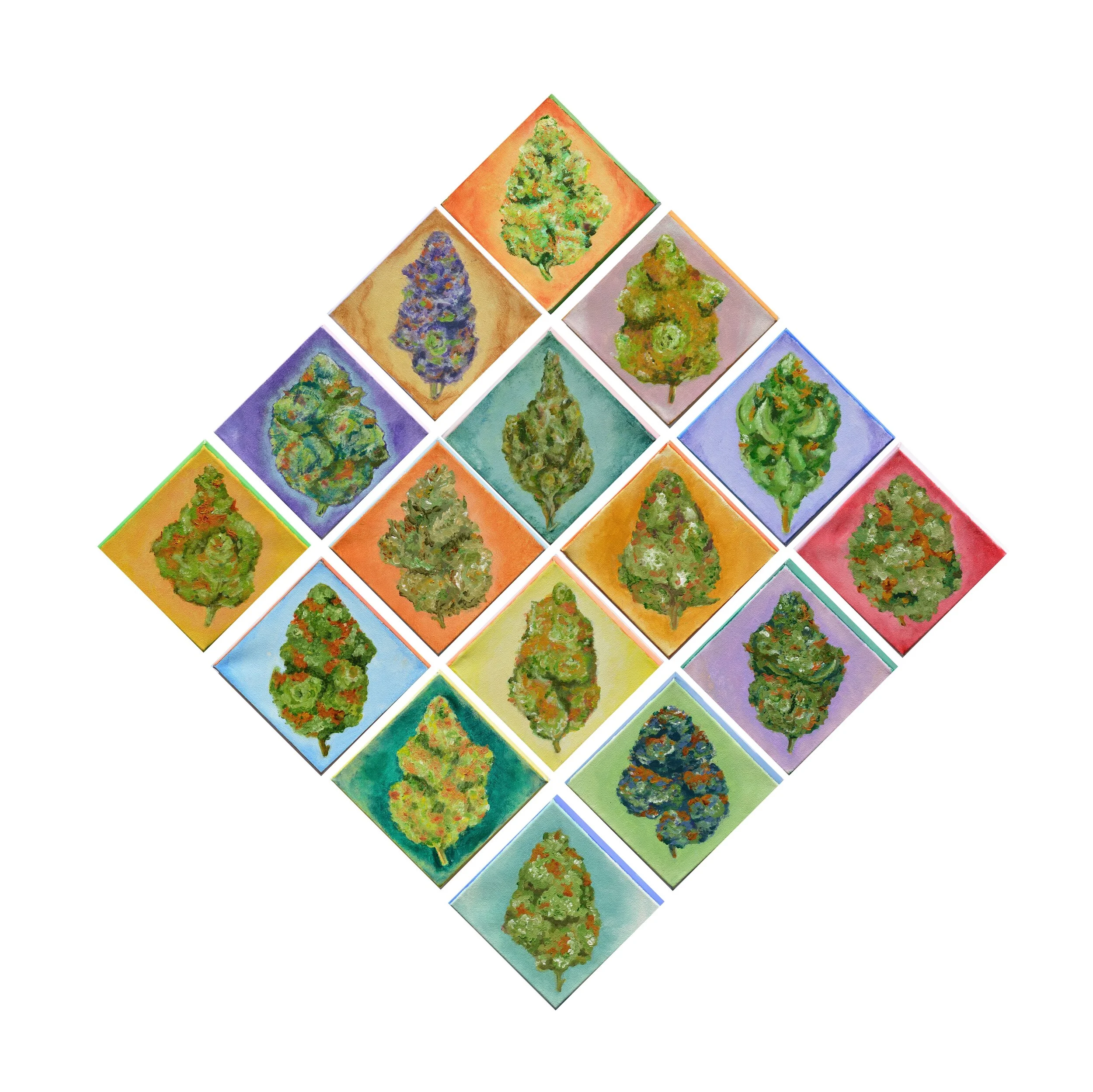 6 x 6 Compilation: 24 x 24