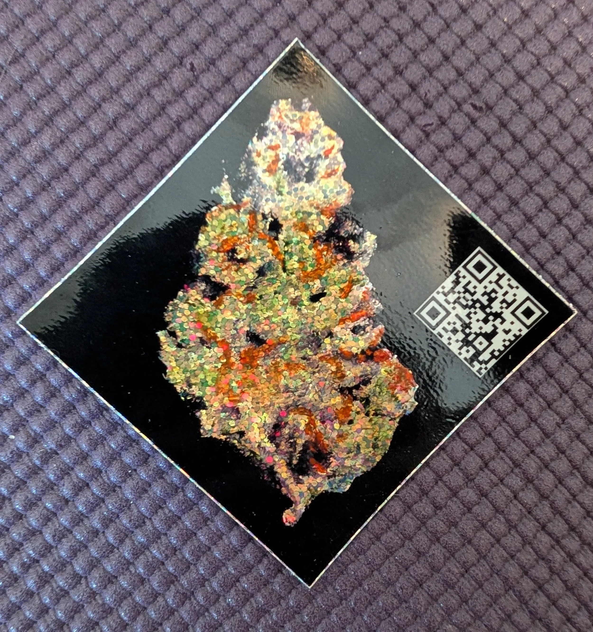 1000002674.jpg