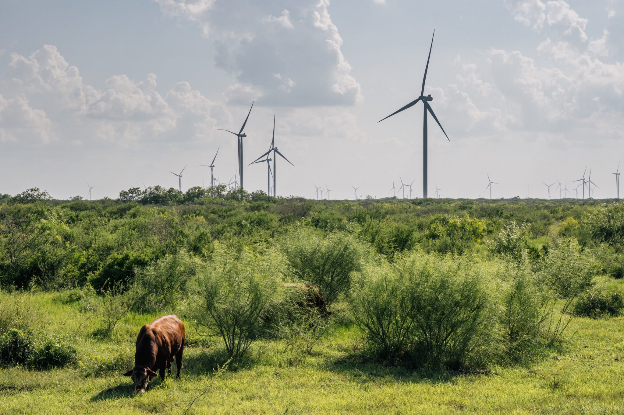 Inside Clean Energy: Texas Is the Country’s Clean Energy Leader, Almost in Spite of Itself