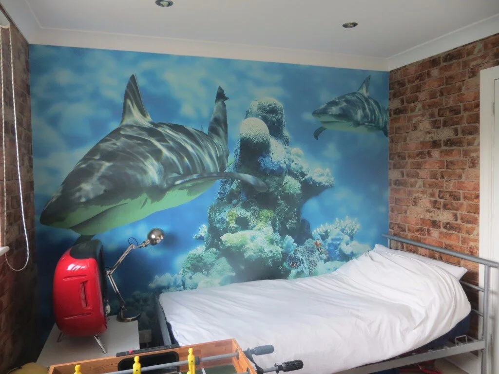 Shark mural.jpg
