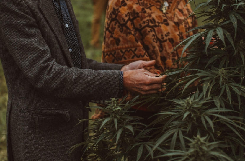 Hudson Hemp