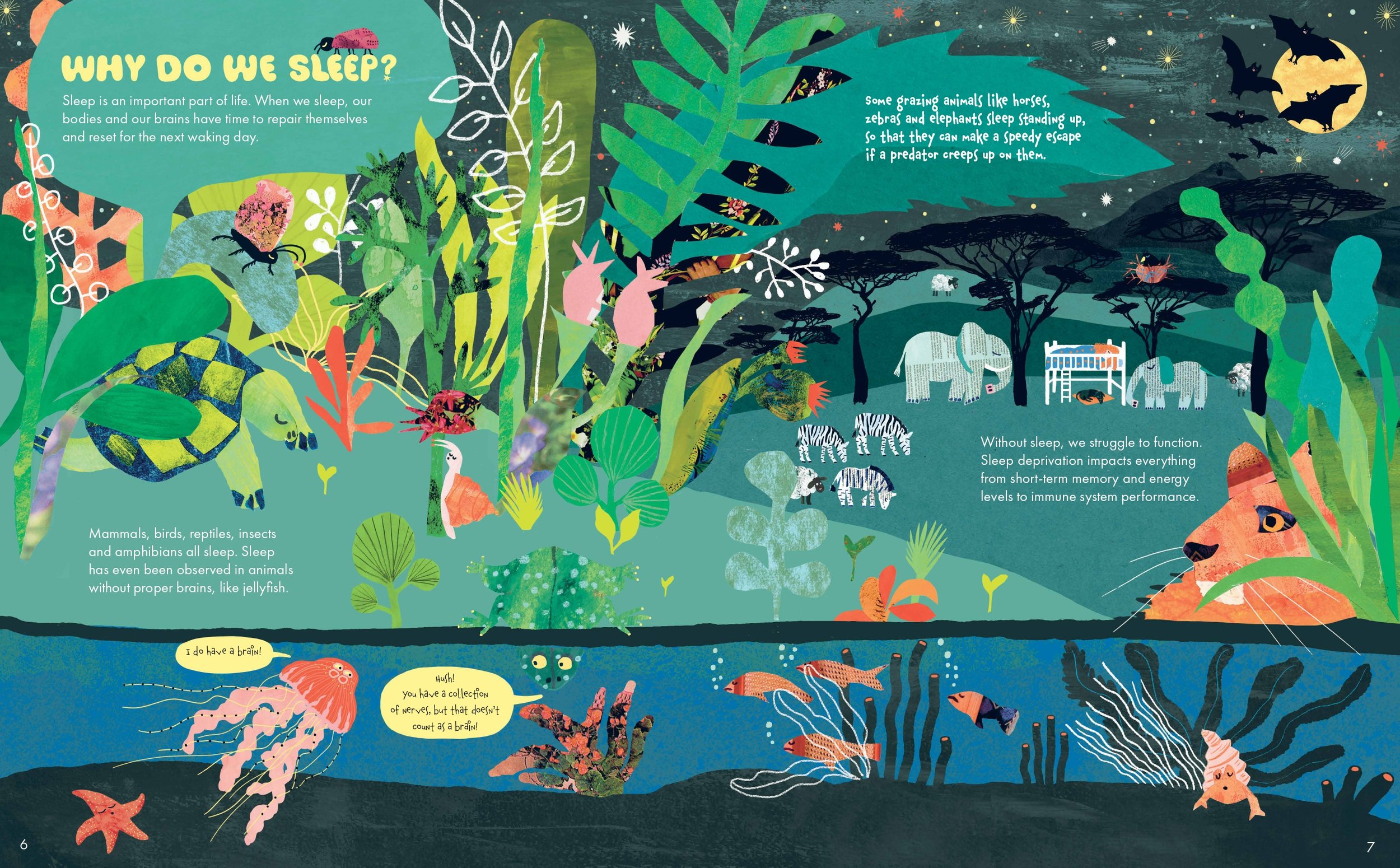 Pagespread from Why Do We Sleep?