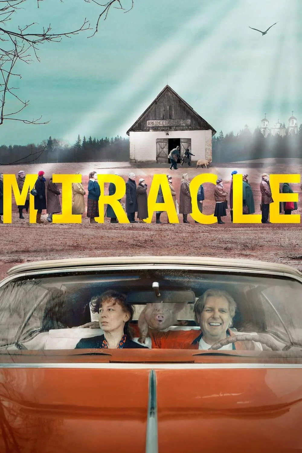 Miracle (LTU)  Virtual