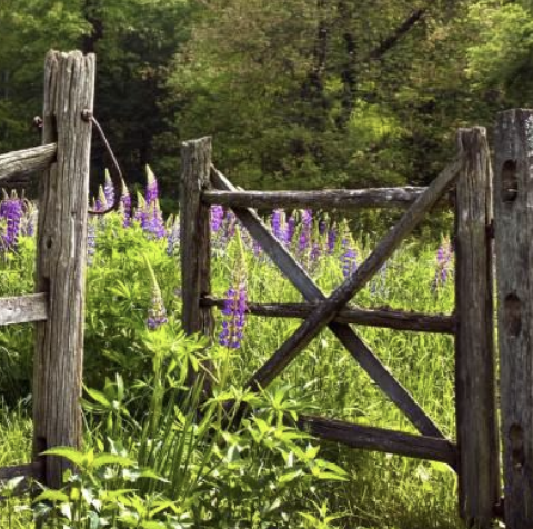 Sat, 5/11 Advanced Class: "Narrow Gate?" What's that?