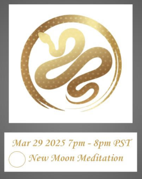 Screenshot 2025-03-12 at 9.07.03 PM.png