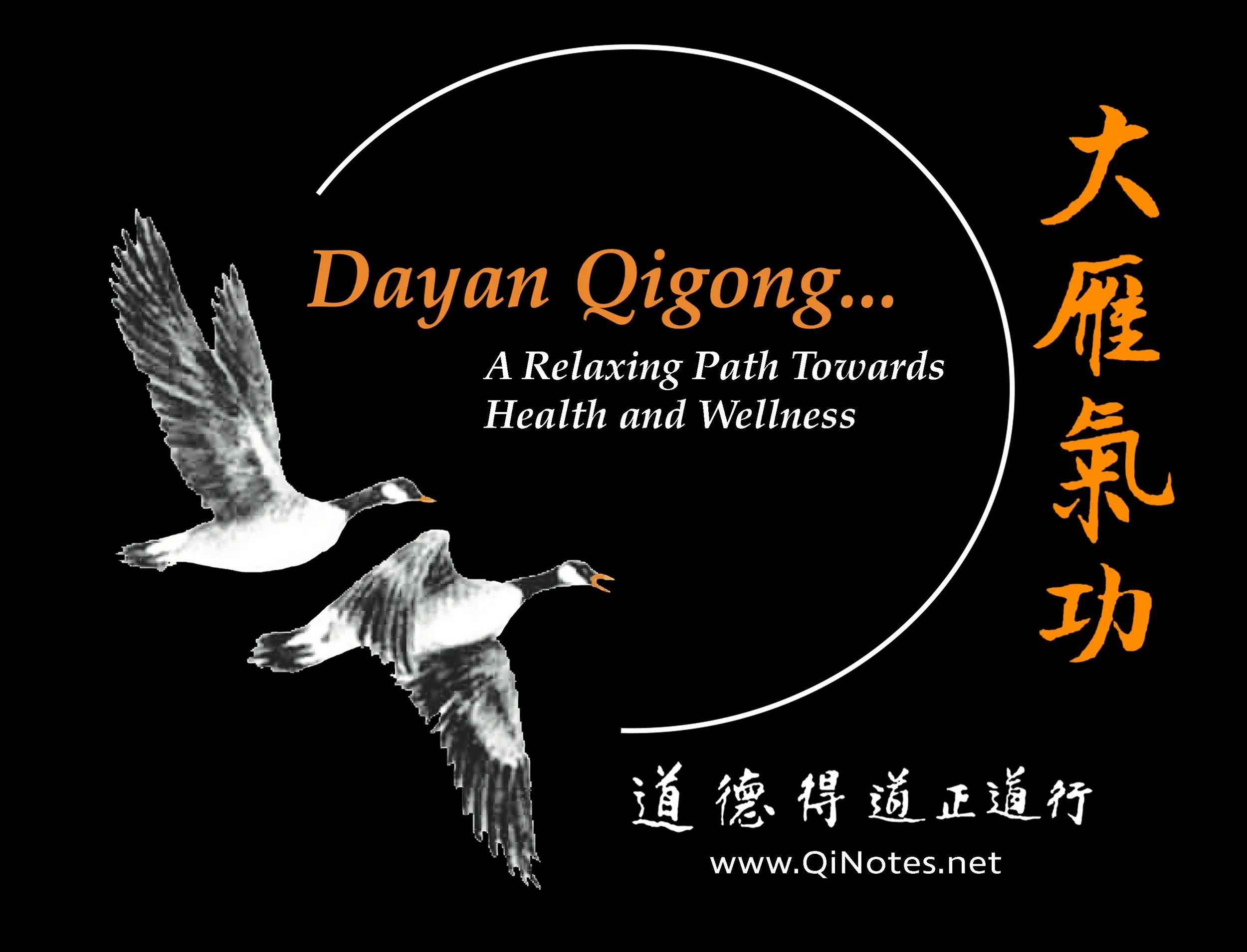 A few Generic DYQG t-shirts still available