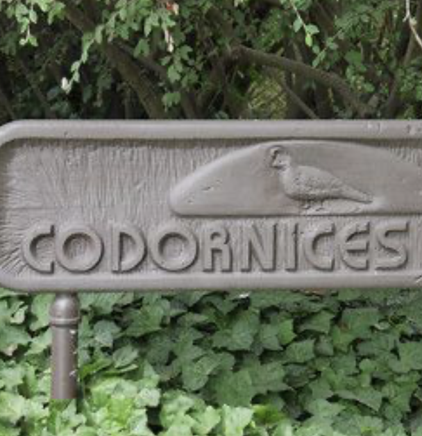 7/12–8/30, SAT (7-8:30 AM) Codornices Park Practice