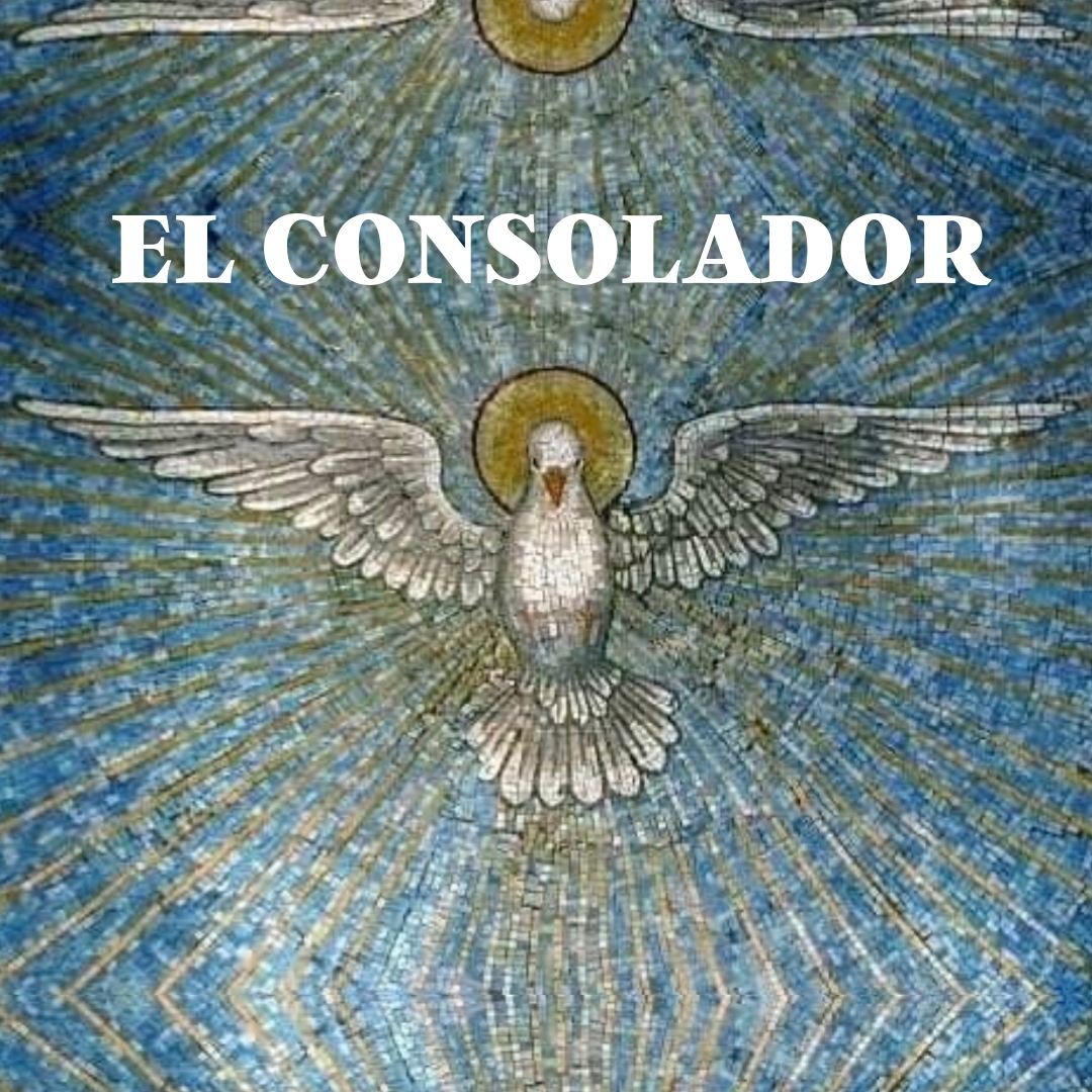 🕊️ EL CONSOLADOR

&ldquo;Entonces yo rogar&eacute; al Padre, y &Eacute;l les dar&aacute; otro Consolador, para que est&eacute; con ustedes para siempre.&rdquo;
&mdash; Juan 14:16

Empecemos este nuevo a&ntilde;o dando gracias a Dios y recordando que