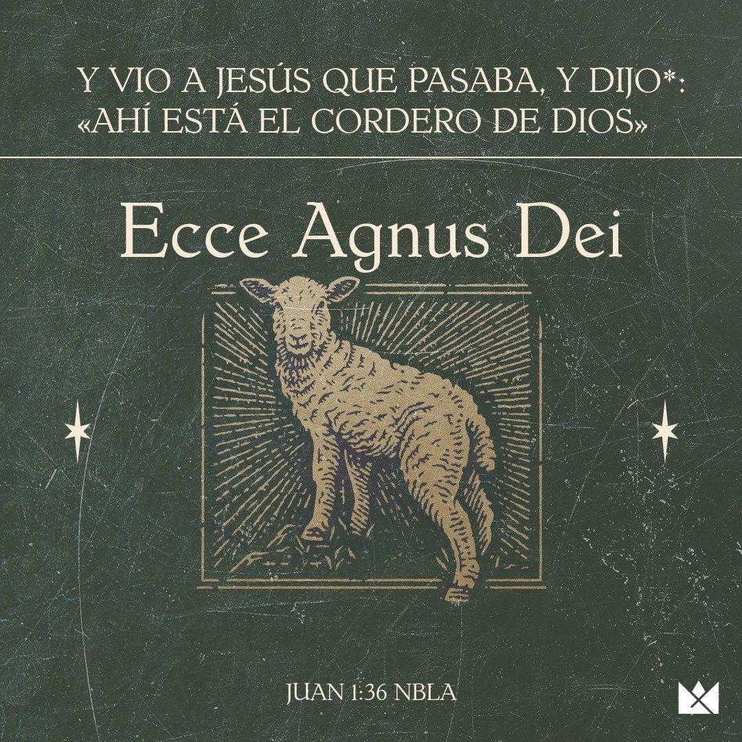 El cordero de Dios 🙏