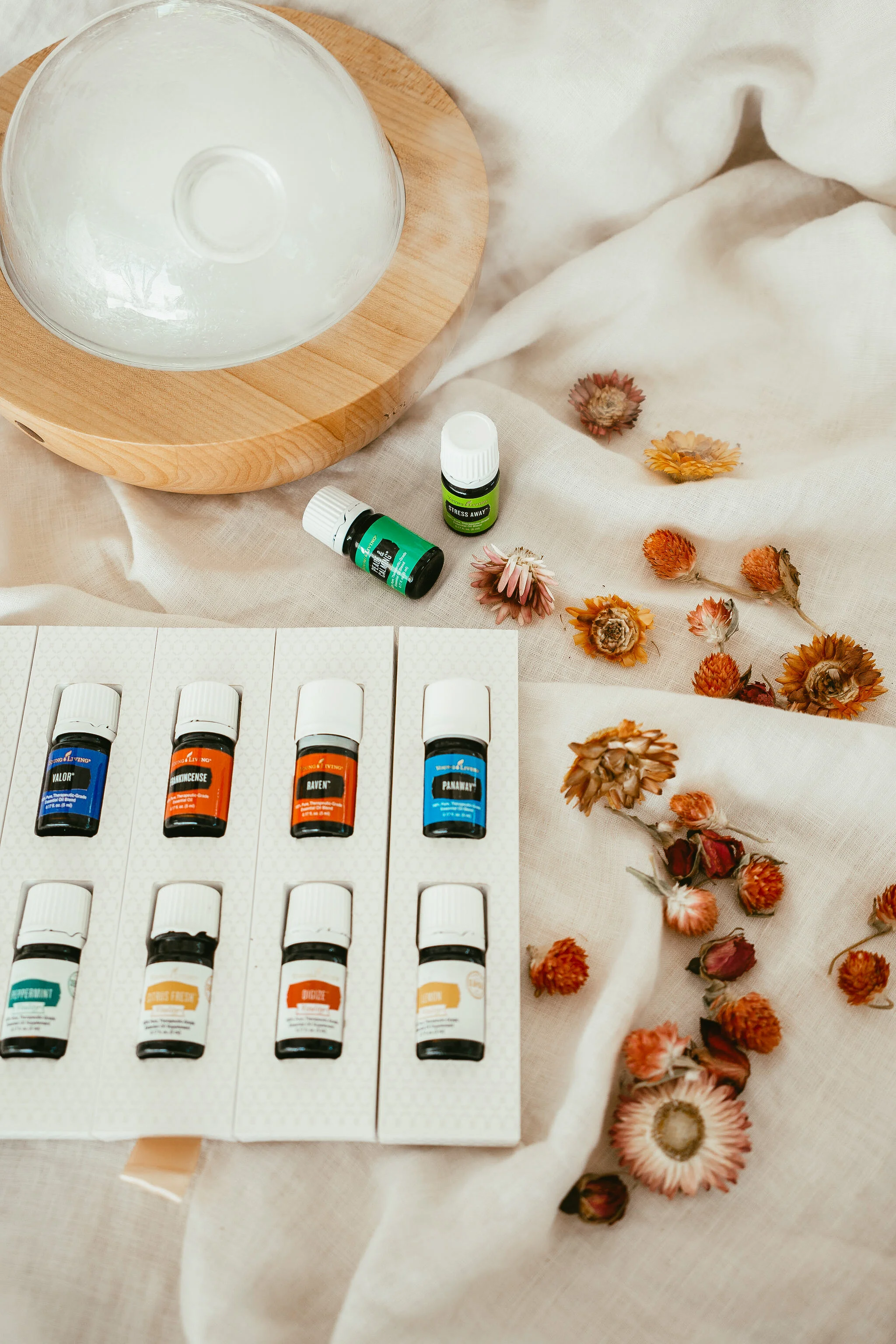 What Comes in your Starter Kit! 