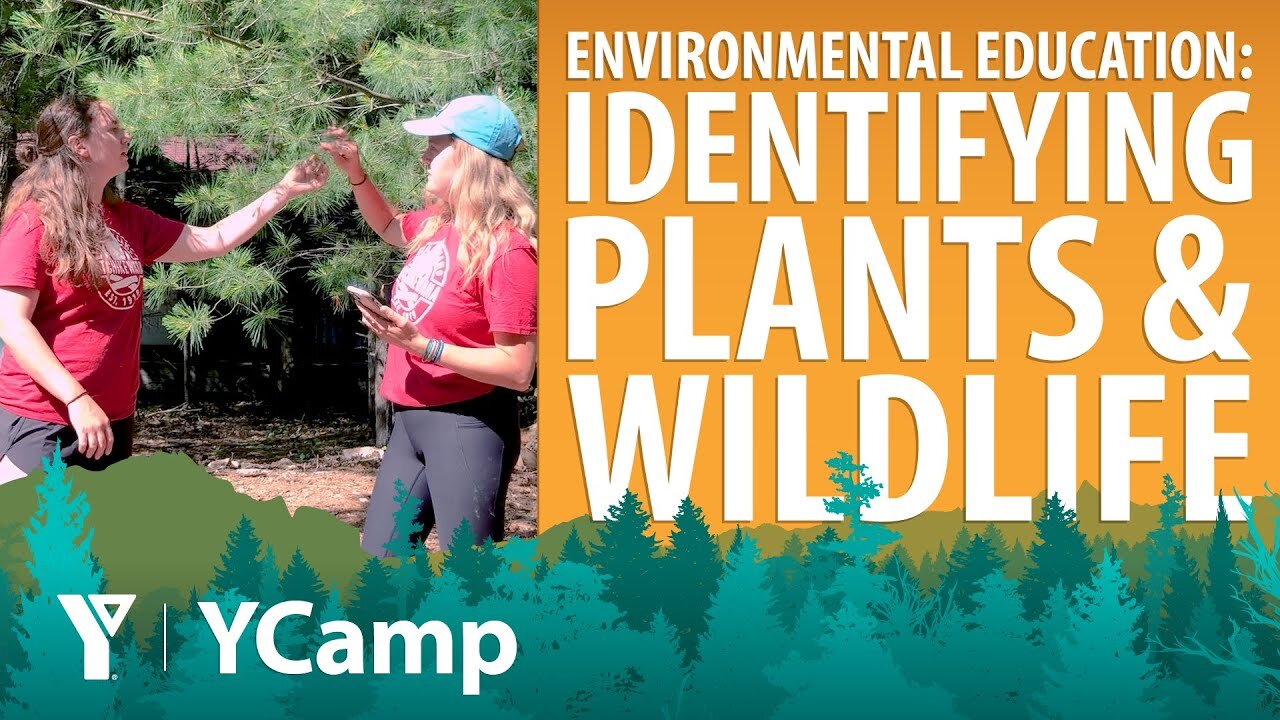 Week 1 - Environmental Education (Ages 8-11)