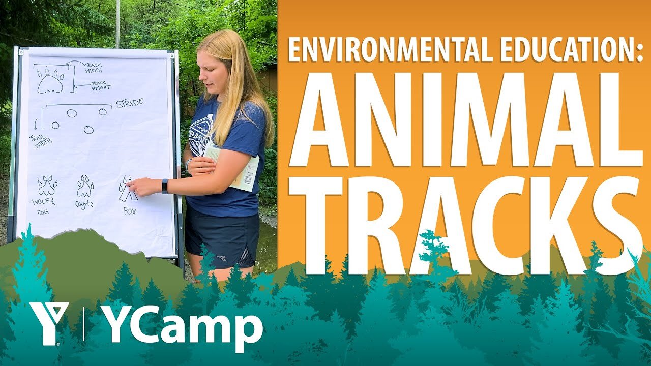 Week 7 - Environmental Education (Ages 8-11)