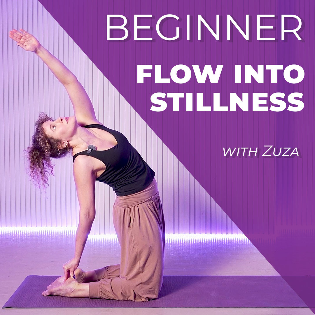 Gentle Upper Body Flow into Stillness